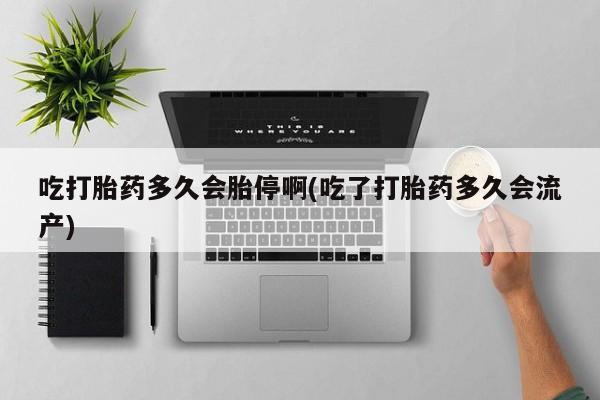 米非米索购买微信新闻 第26页
