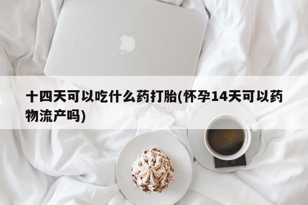 米非米索购买微信十四天可以吃什么药打胎(怀孕14天可以药物流产吗)